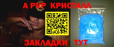 дживик Ачхой-Мартан
